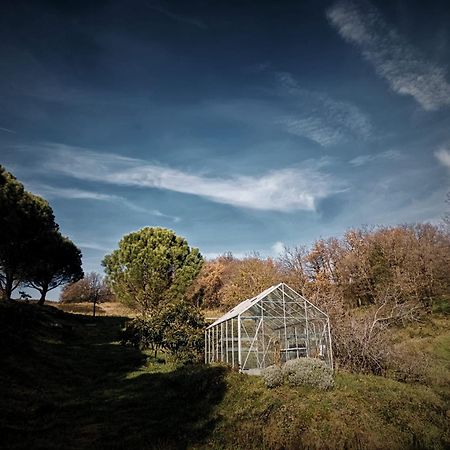 La Maison Bleue Ponsas Exteriör bild